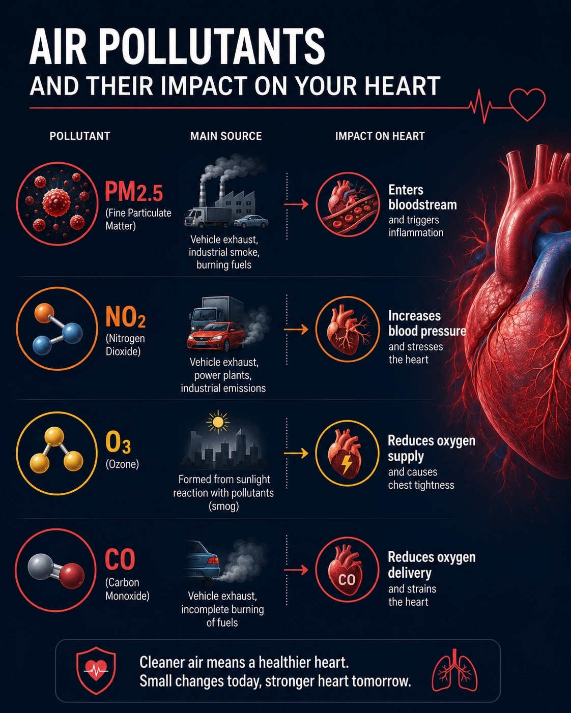 Infographic showing how PM2.5, NO2, ozone and carbon monoxide damage the heart