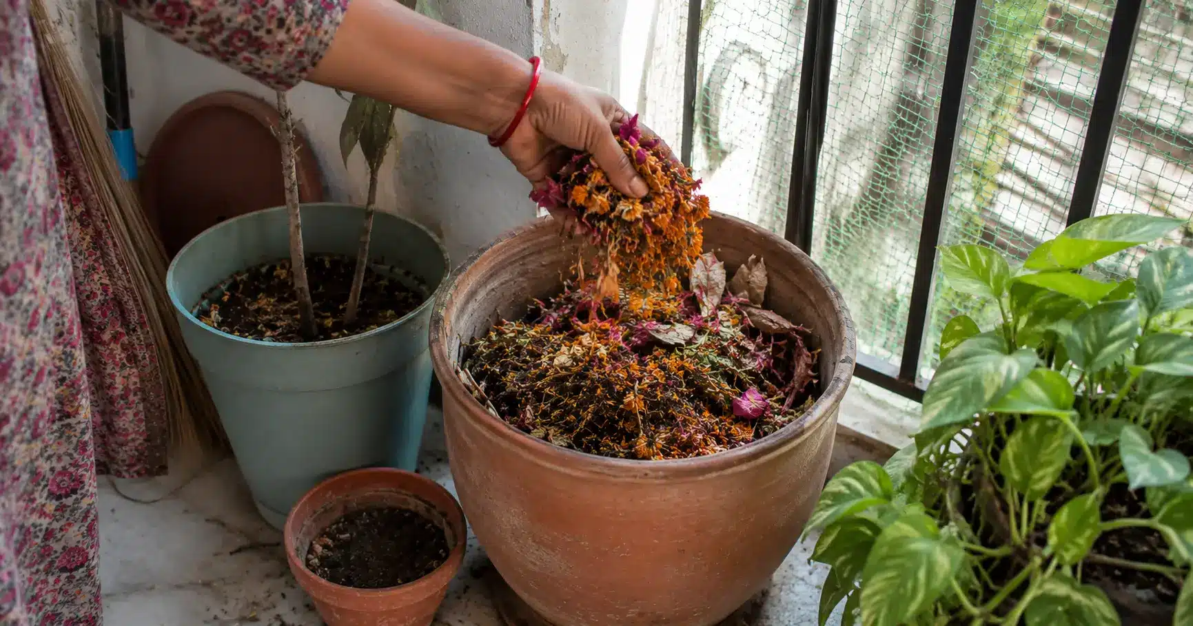 Woman adding wilted puja flowers to a home compost pot on an Indian balcony