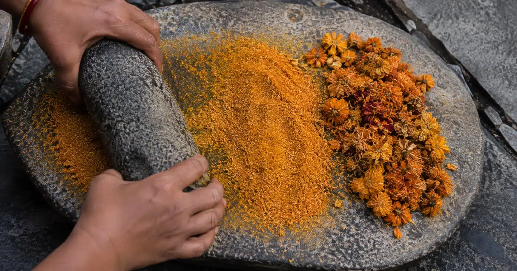 Dried marigold petals being ground into natural orange gulal powder on a traditional stone grinder