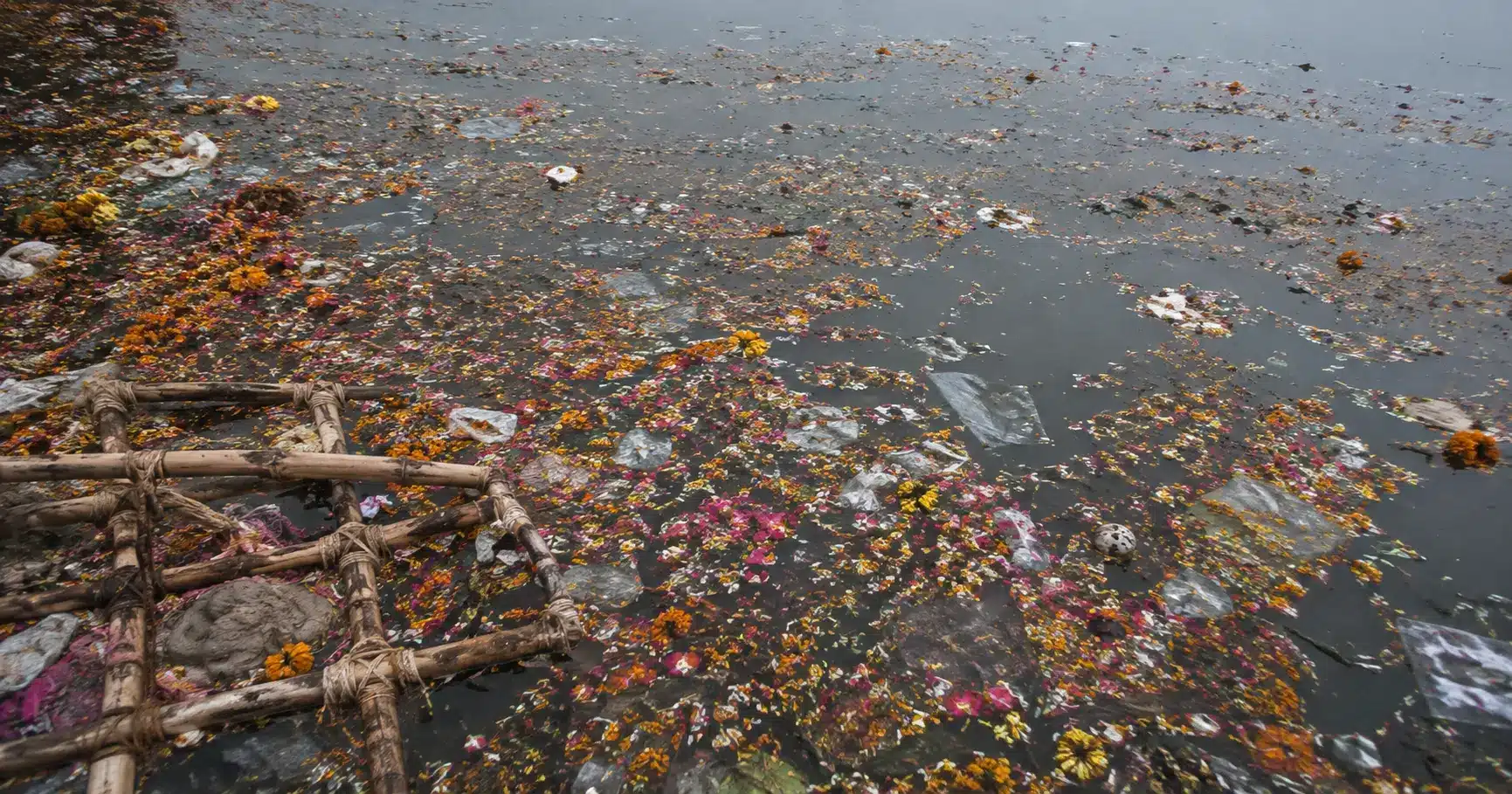 Marigold petals and idol debris floating on an Indian river after festival immersion