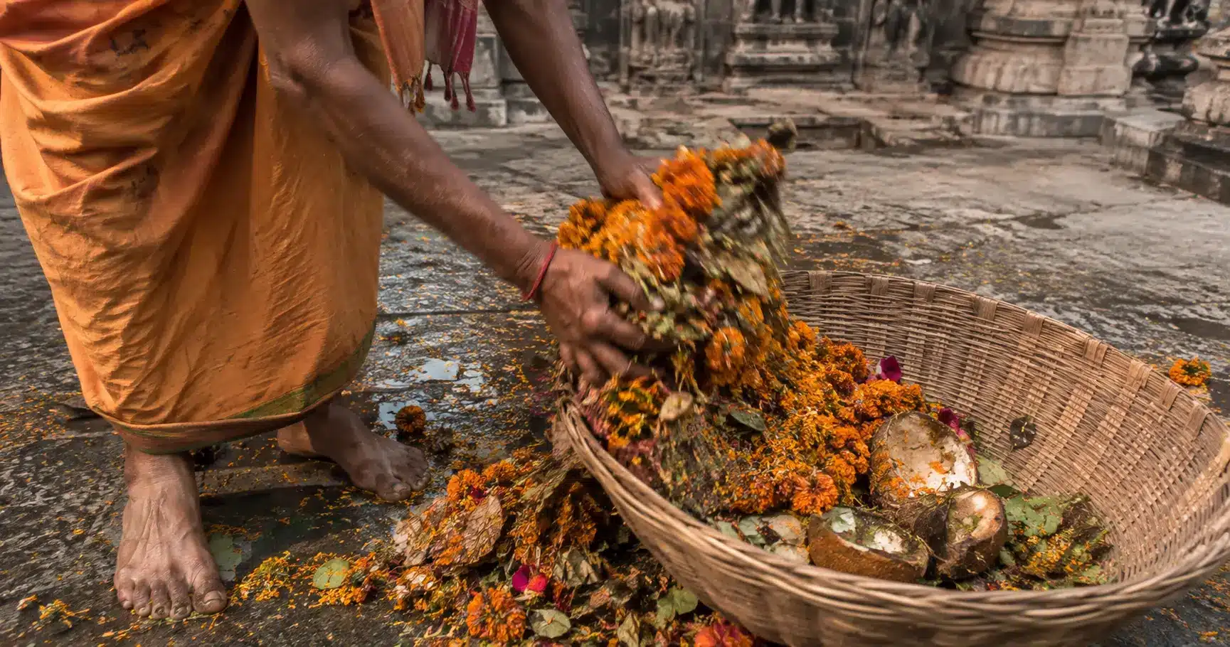 Temple worker collecting wilted festival flower garlands into a basket at an Indian temple