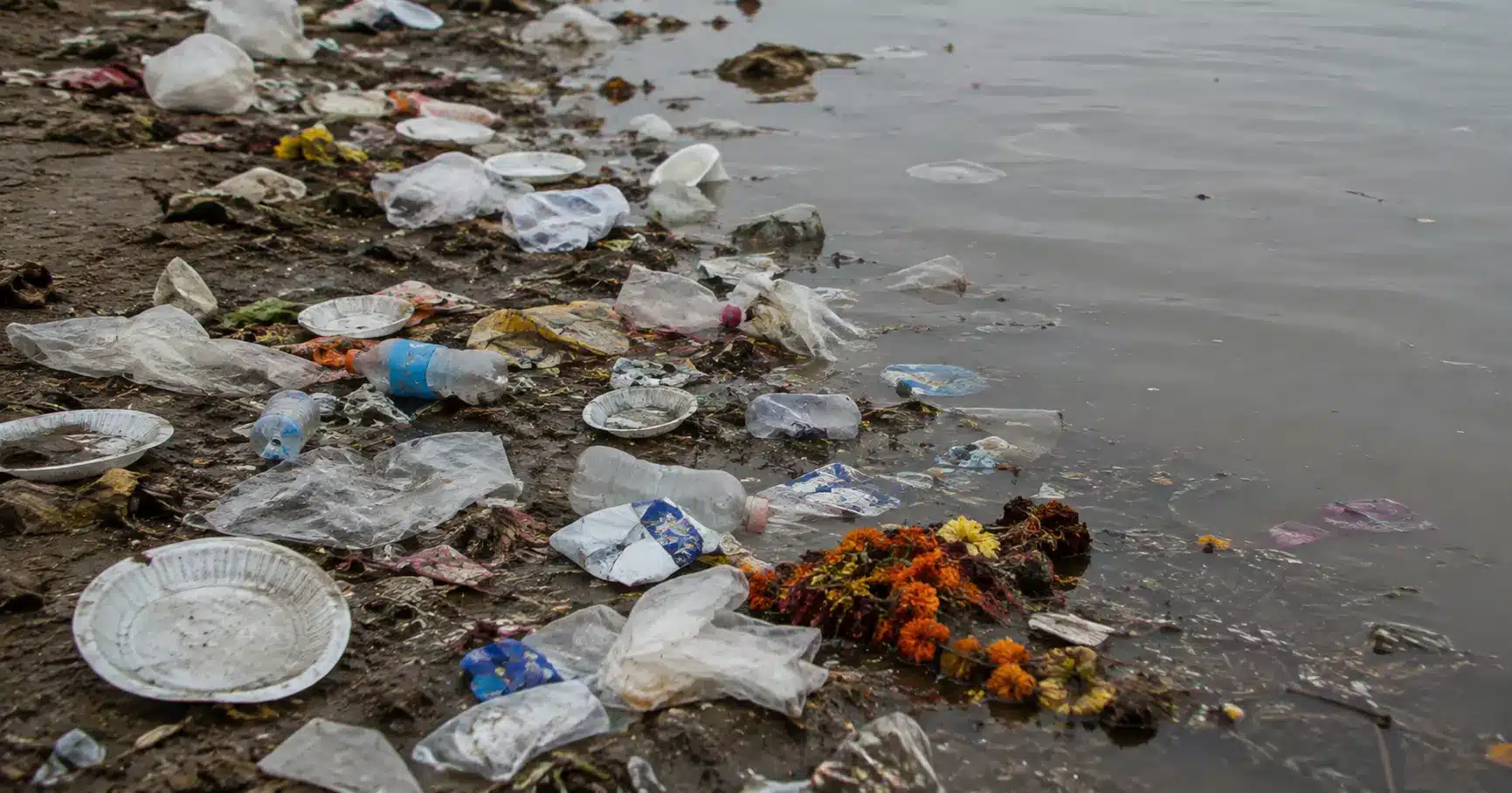 Plastic waste and packaging tangled among festival debris on a river bank