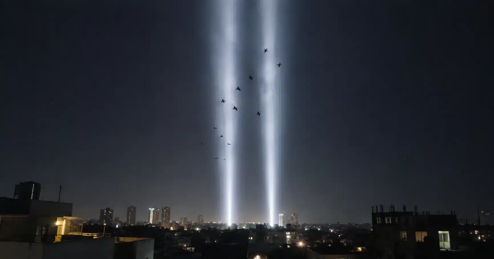 Birds circling within twin vertical beams of light rising into the night sky