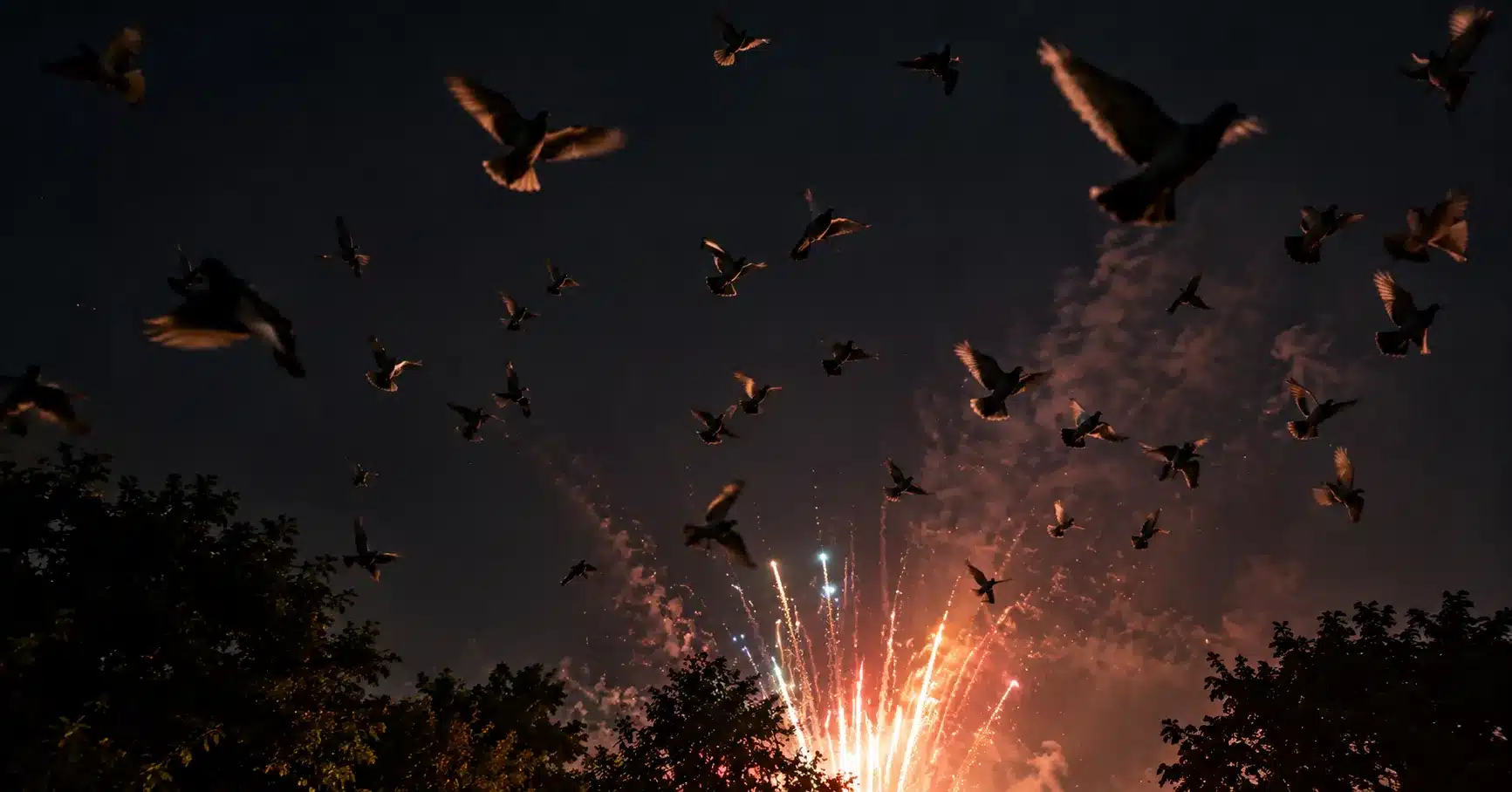 A flock of birds scattering into the night sky, startled by fireworks below